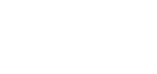 Blueleaf Logo