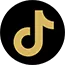 tiktok icon